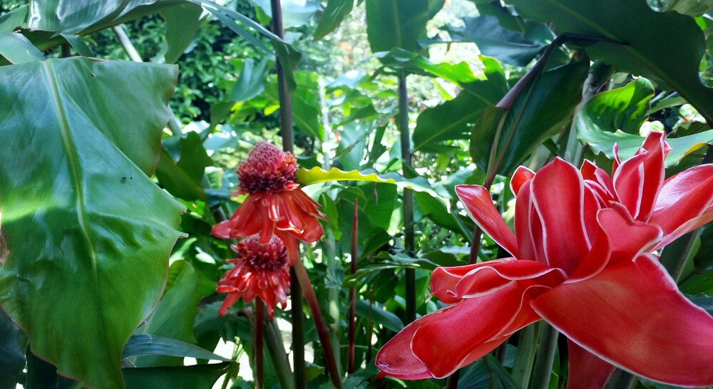 Rancho De Lelo Ecolodge & Sustainable Farm 29/65
