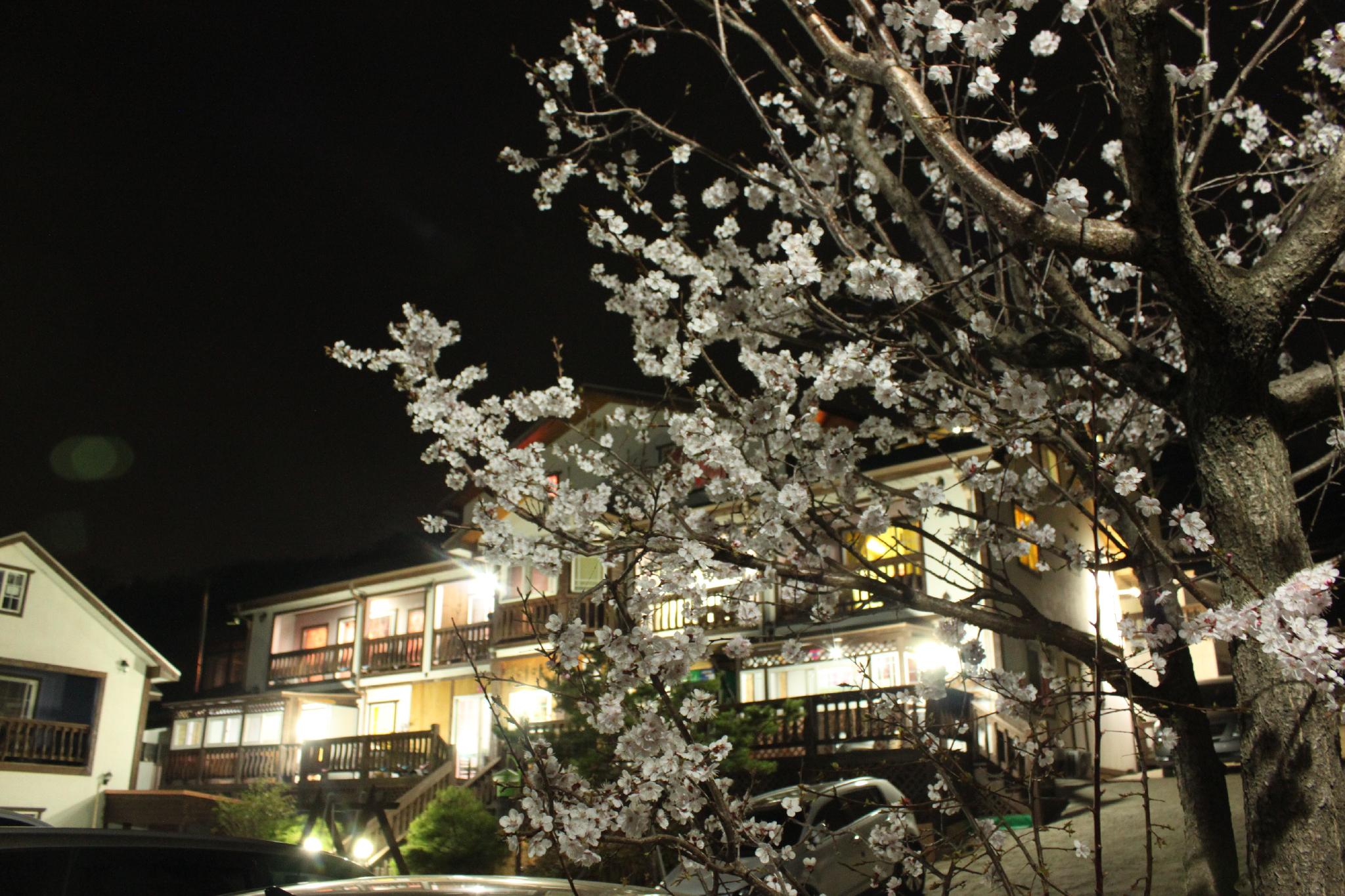 Gyeongju Star Story Pension 22/27