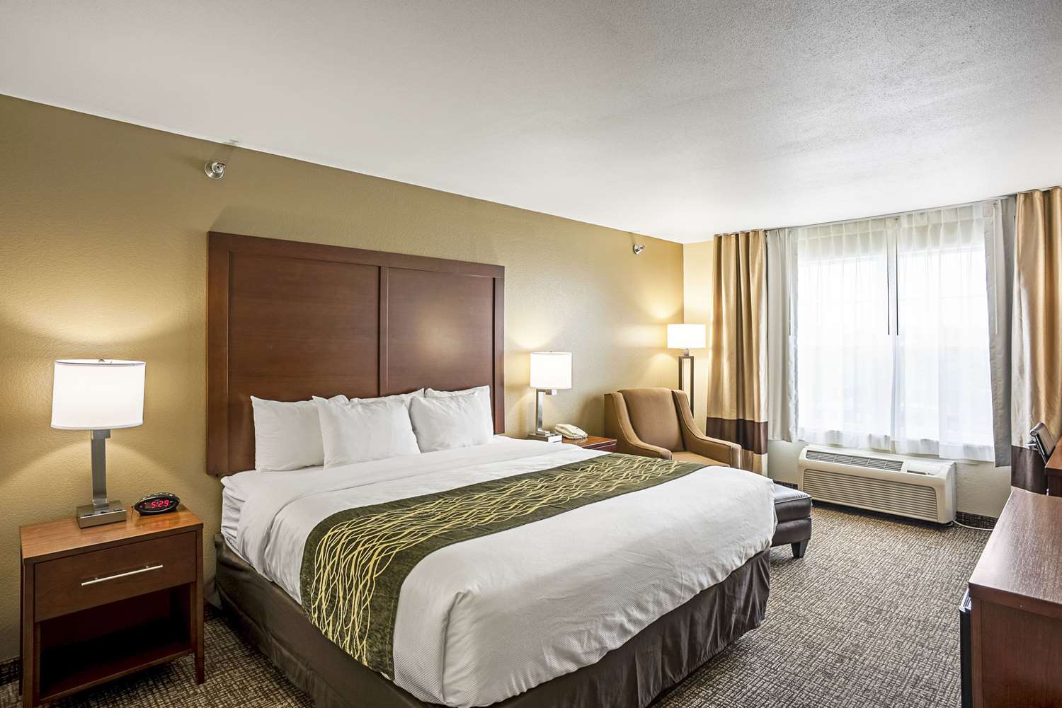 Room, King Bed