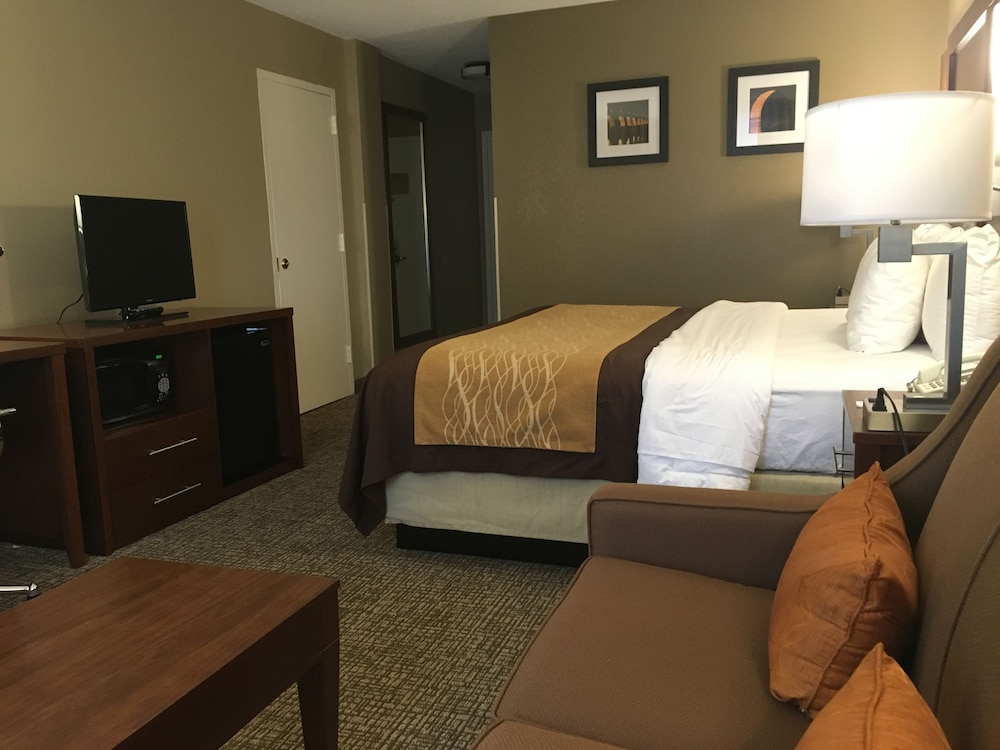 Comfort Inn MSP Airport - Mall Of America 20/43