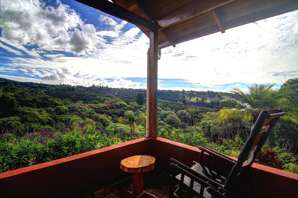 Hotel Mango Valley 27/39