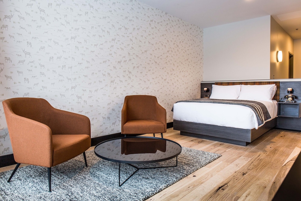Hew & Draw Hotel 12/36