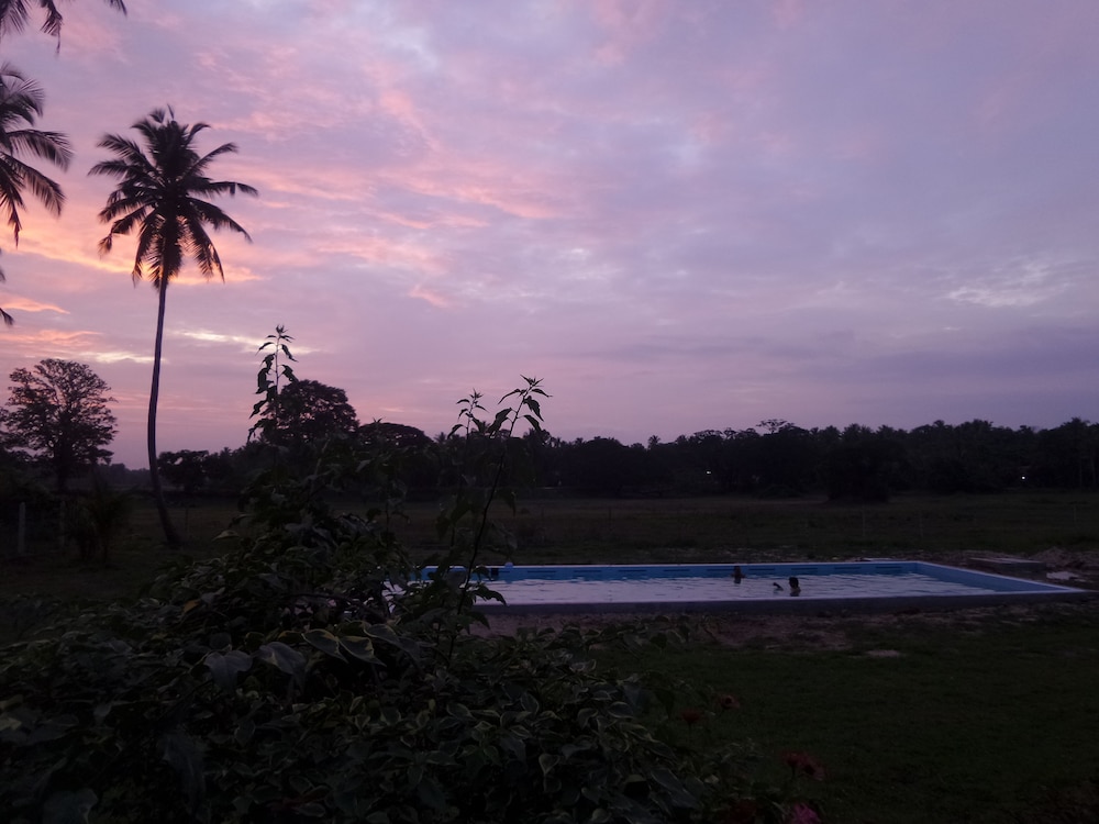 Cocoworld Bungalow 22/50