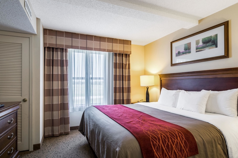 Comfort Inn & Suites Dover near Speedway 7/56