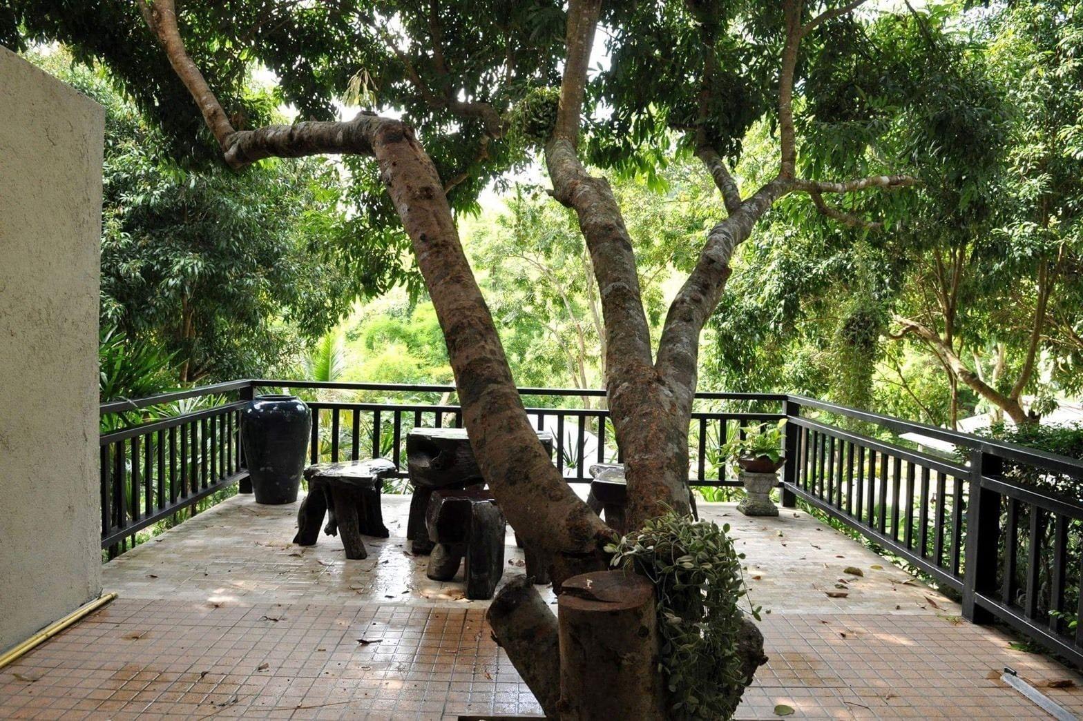 Silver Garden Resort 38/50
