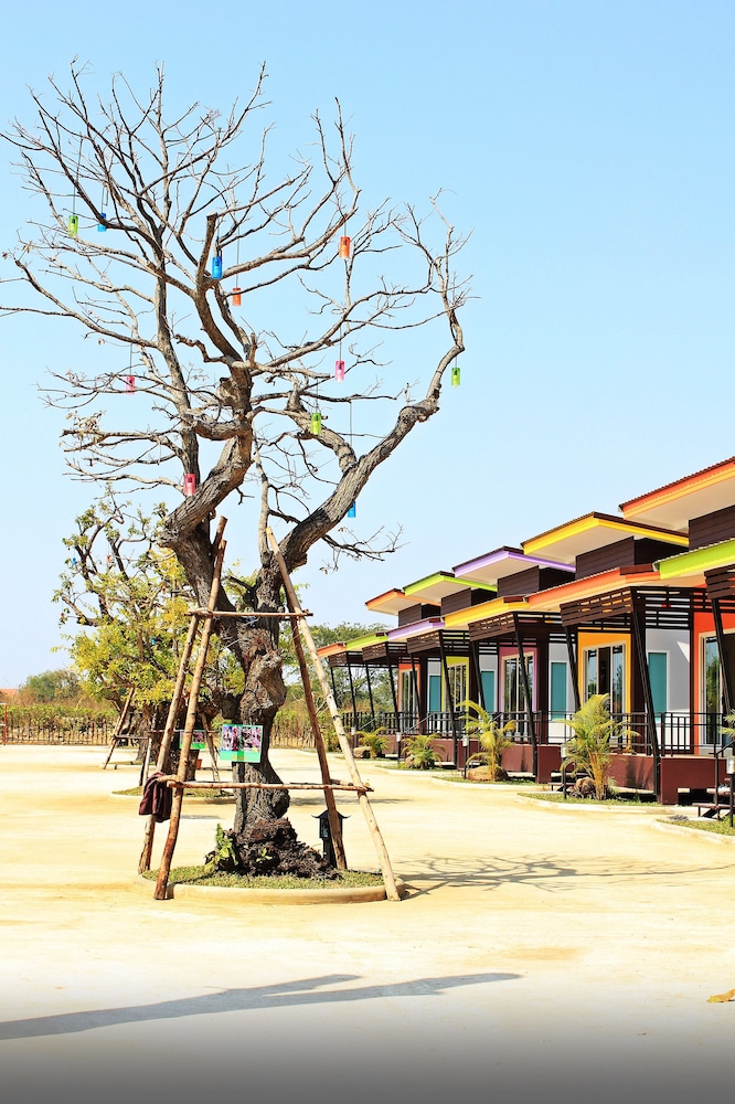 D-Sine Resort 90/100