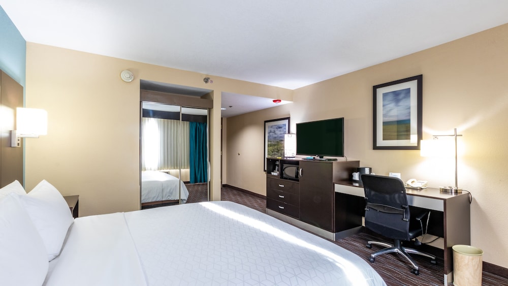 Standard, King Bed, Mountain View