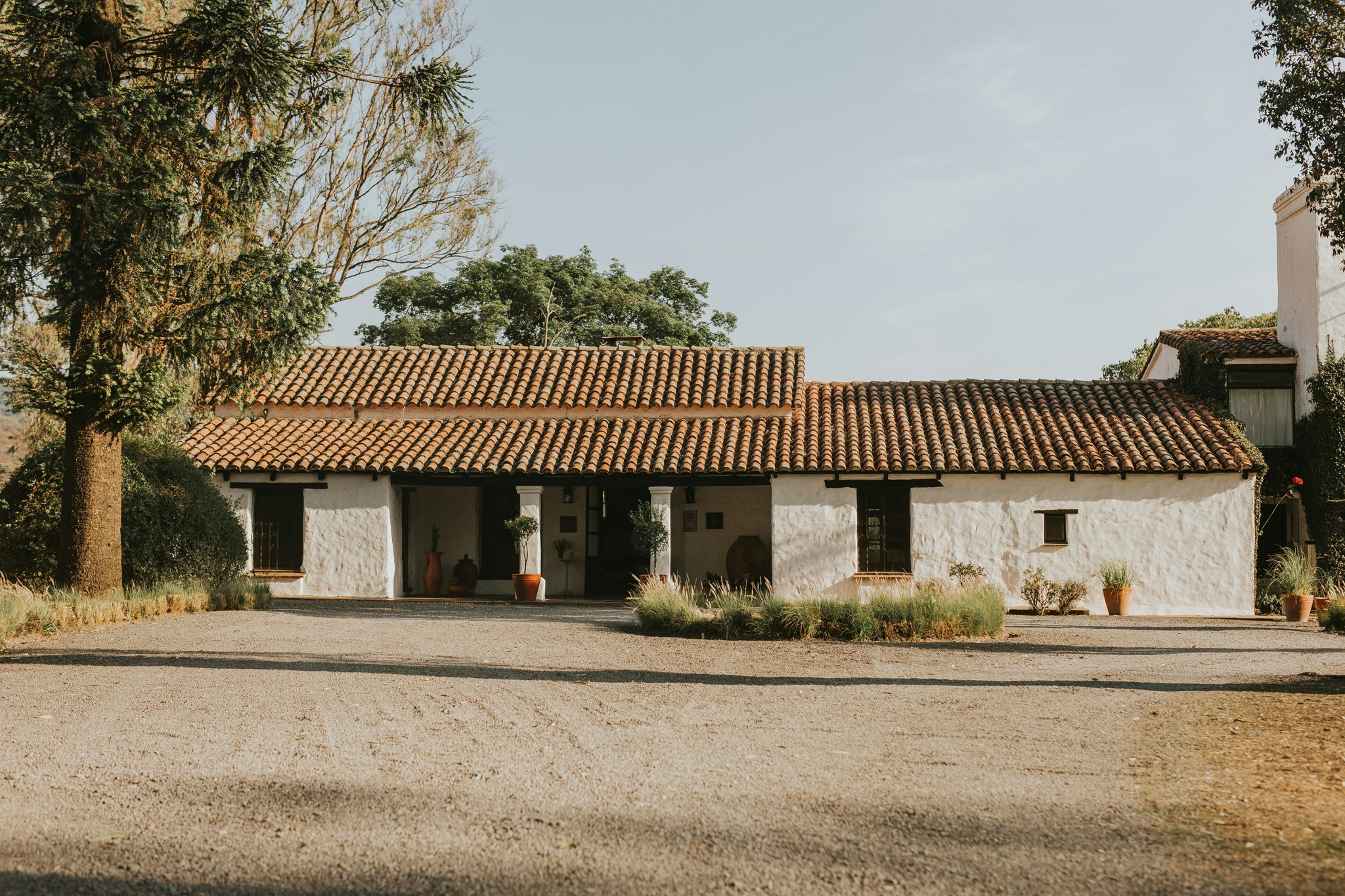 House Of Jasmines 48/52