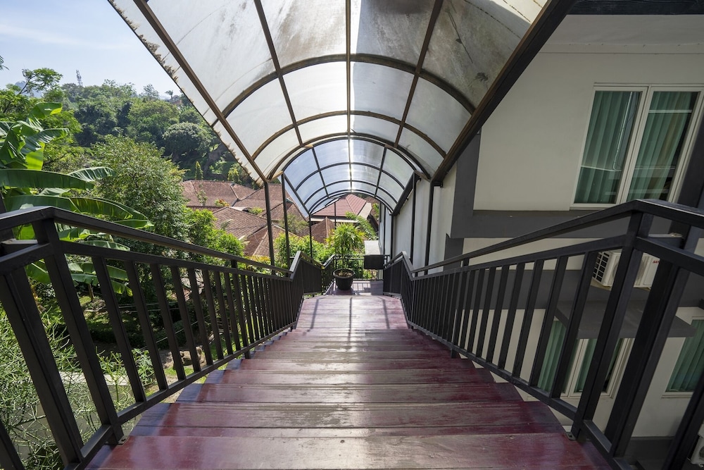 Dago's Hill 33/36