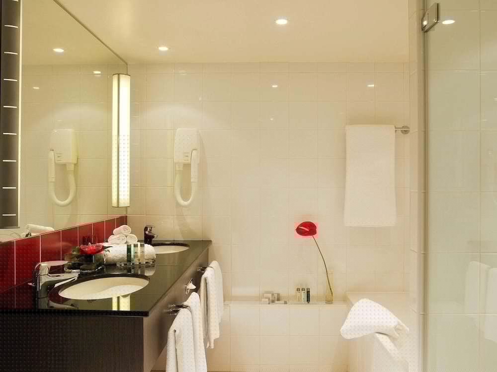 Novotel Paris Roissy CDG Convention 18/71