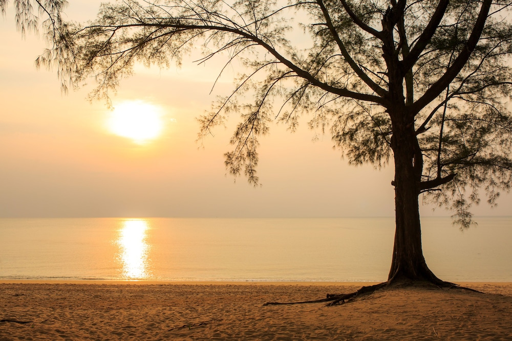 The Anda Mani Khaolak Beachfront Villas 37/50