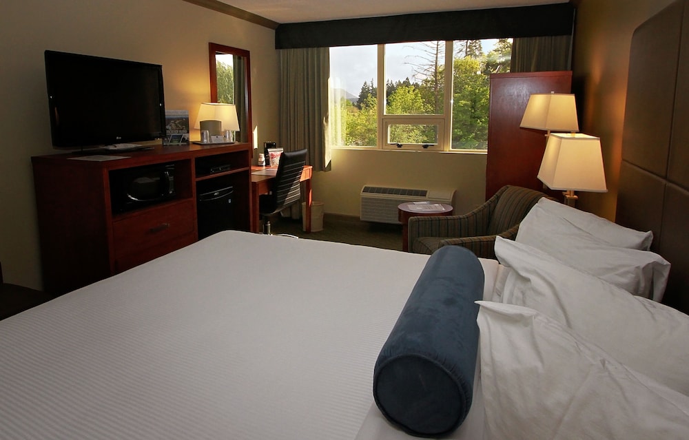 Best Western Plus Barclay Hotel 14/33
