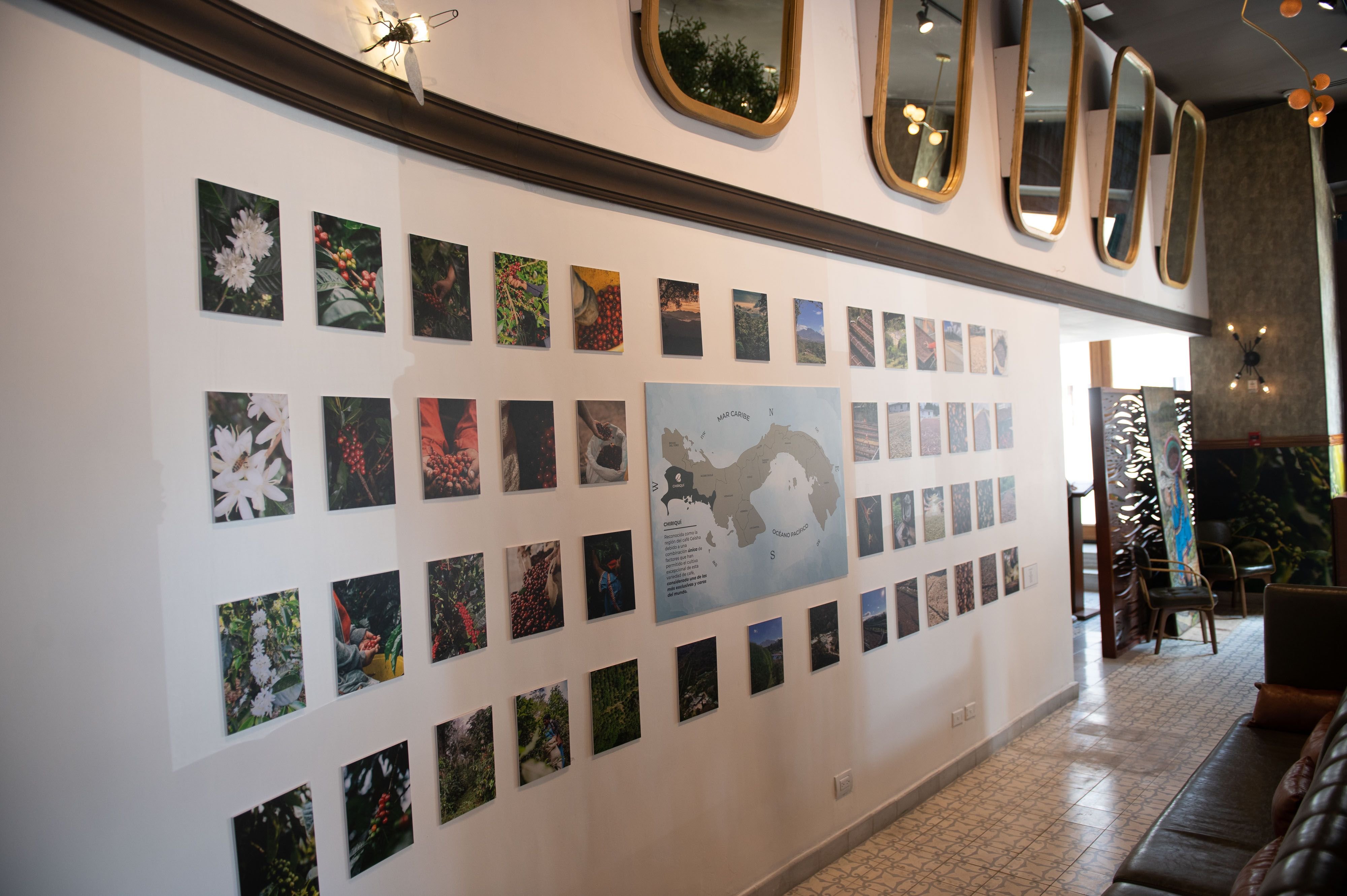 La Concordia Boutique Hotel 3/27