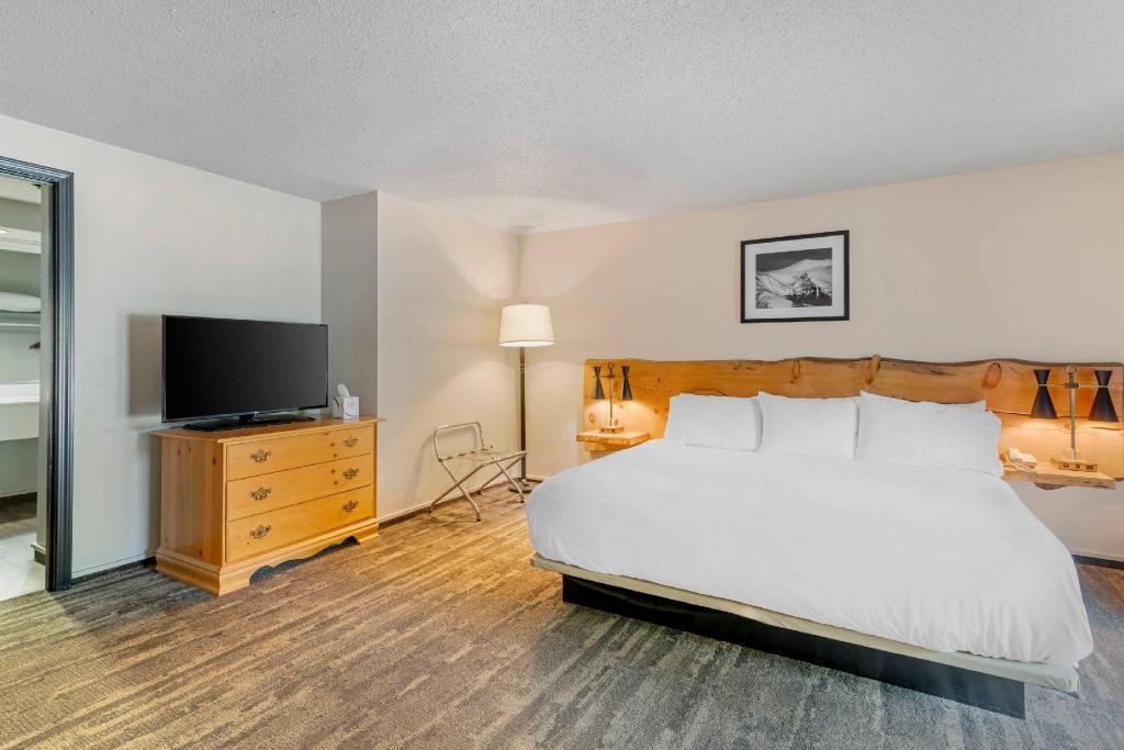 Suite, King Bed