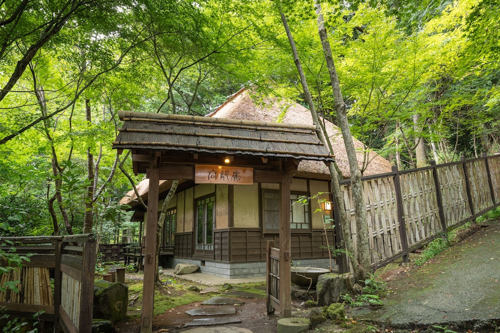 Nihon No Ashitaba 48/50