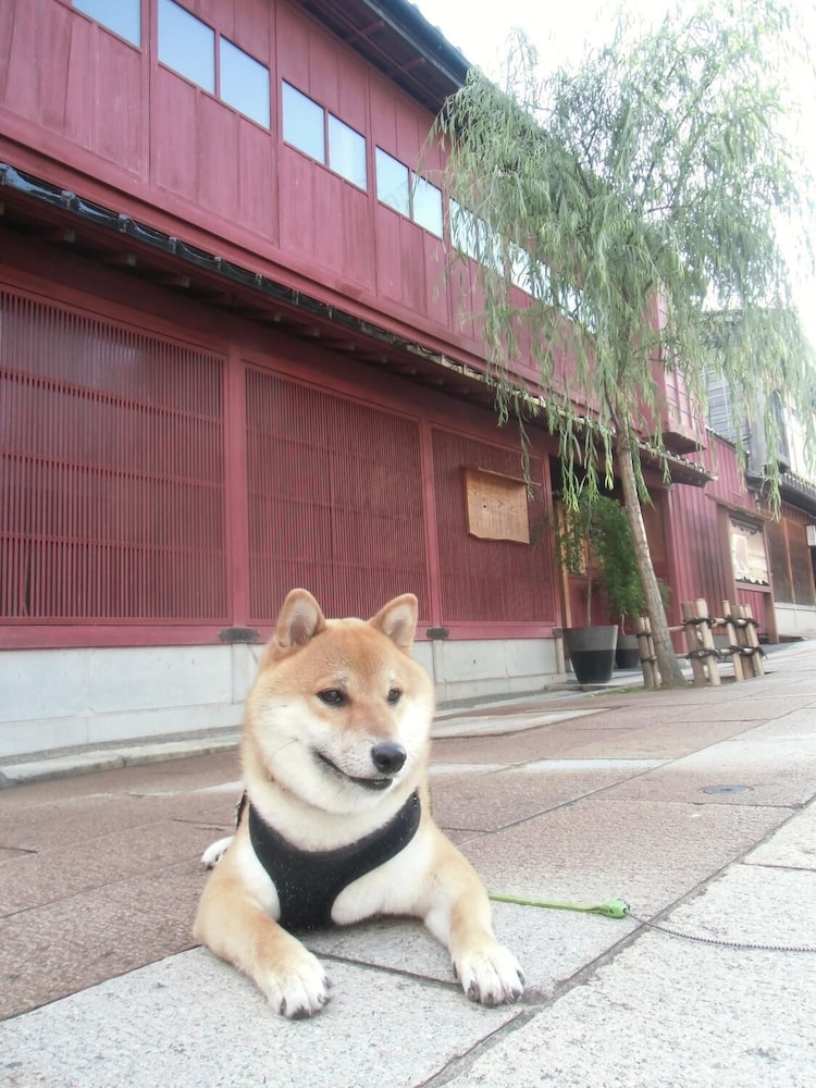 Kanazawa Share House Gaooo 17/18