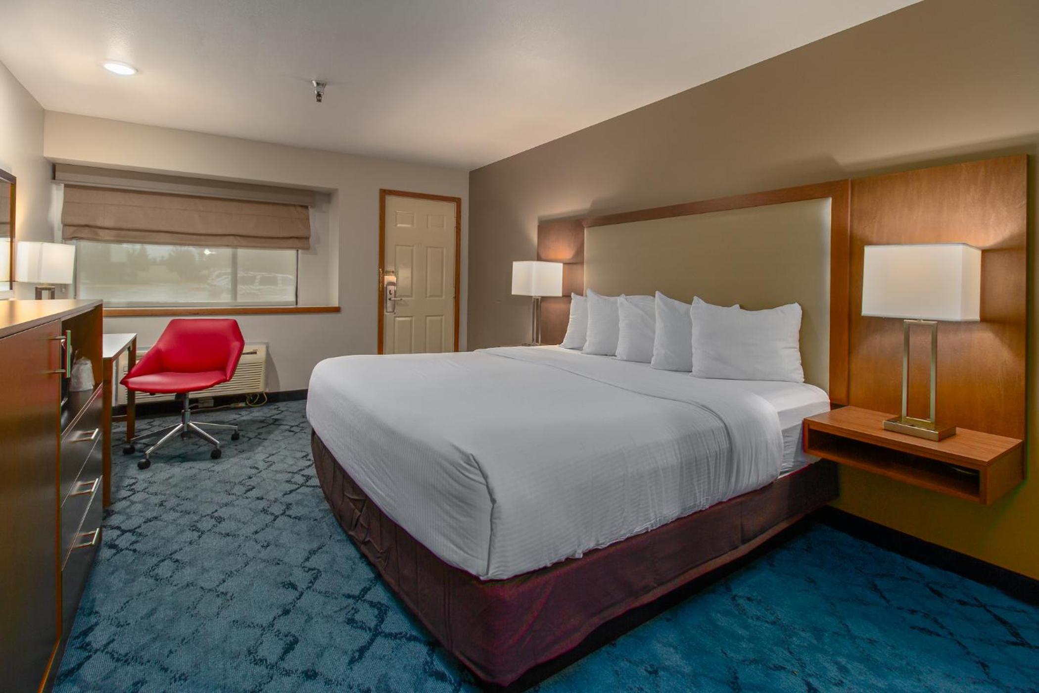 Superior, King Bed