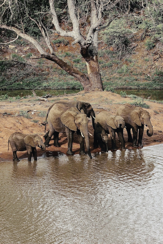 Nyati Safari Lodge 46/50