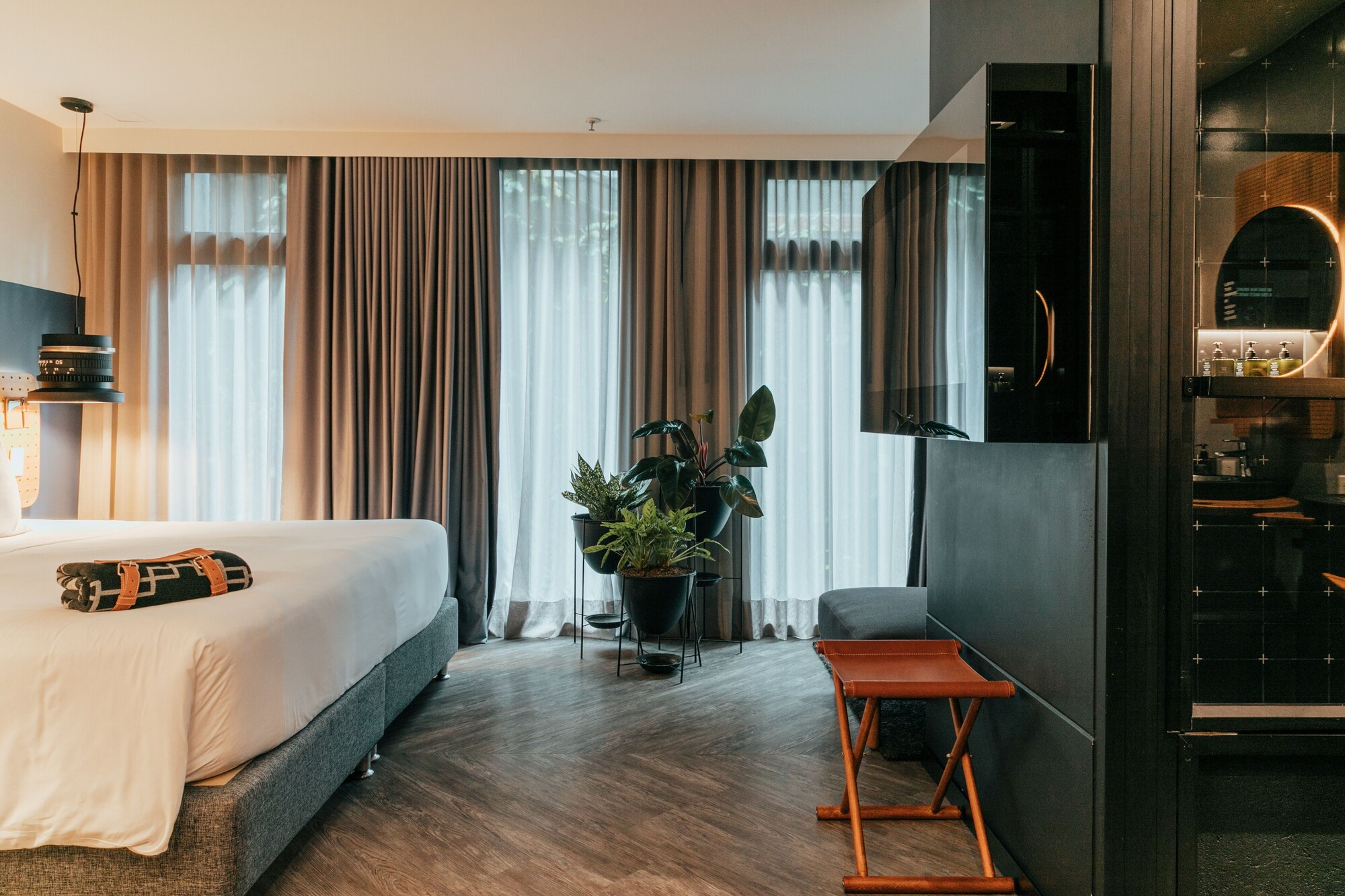 SUITE, XL