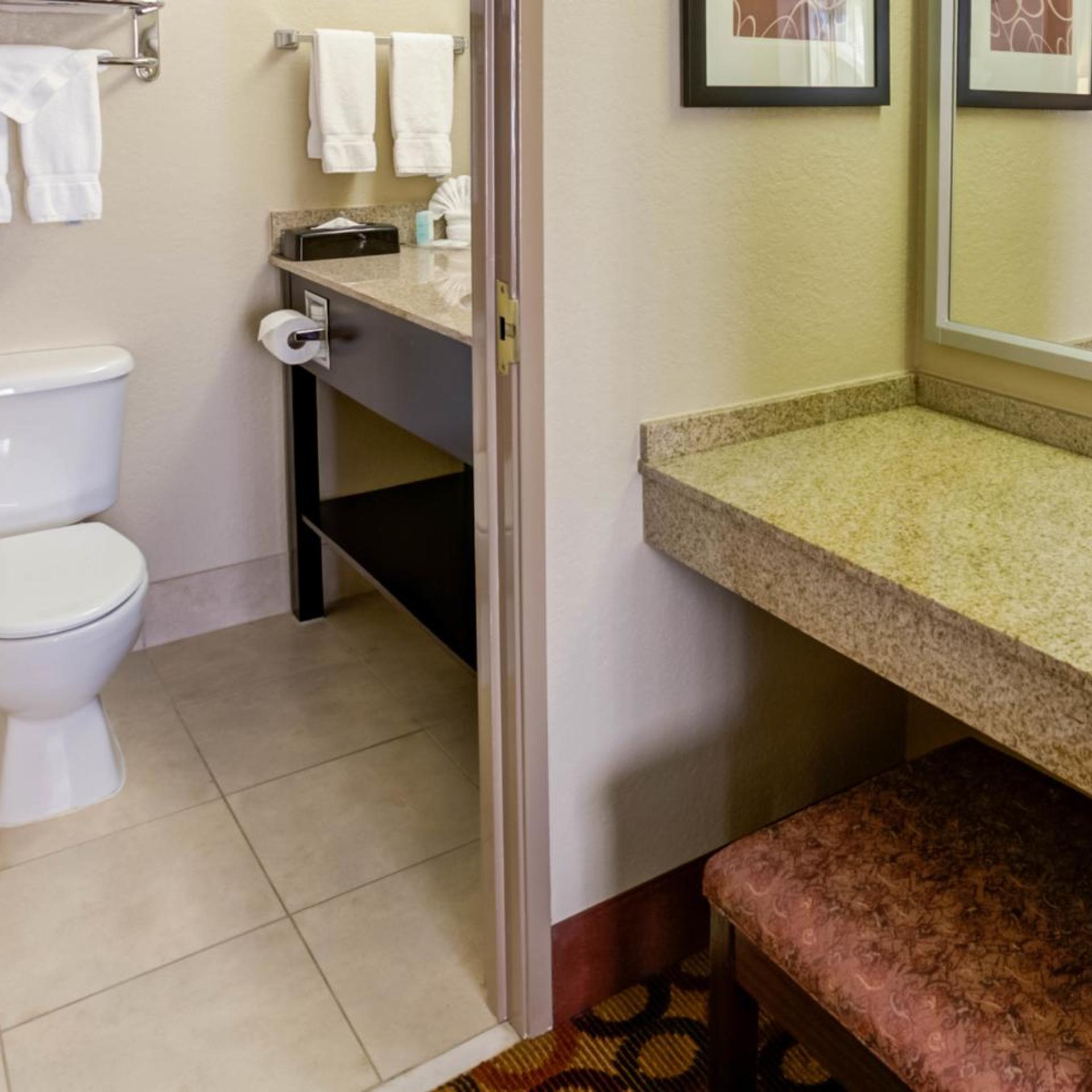 جناح استوديو بسرير كوين لذوي الإعاقة، Comfort Suites Airport Charlotte, NC 3/3