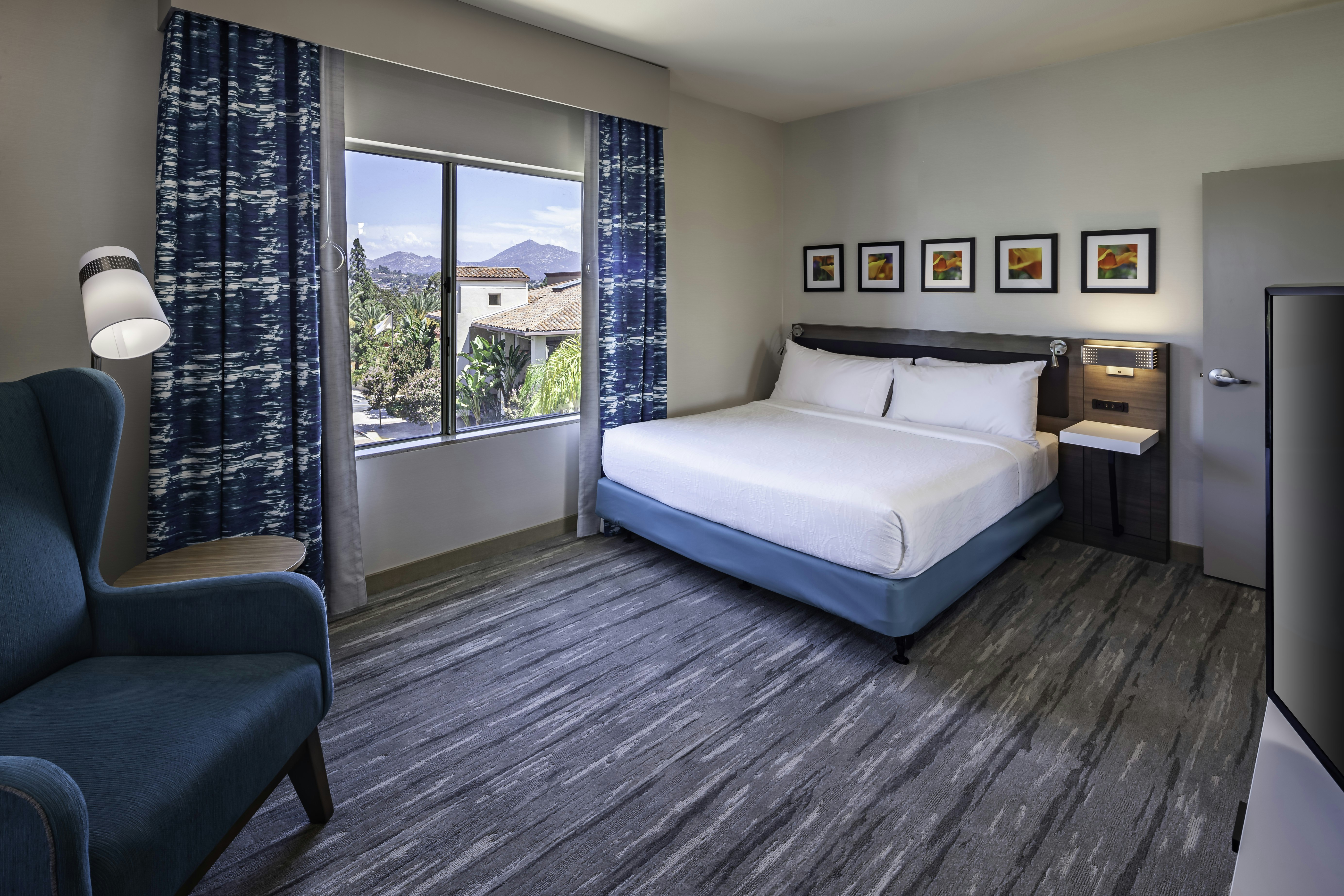 Suite, King Bed, Accessible