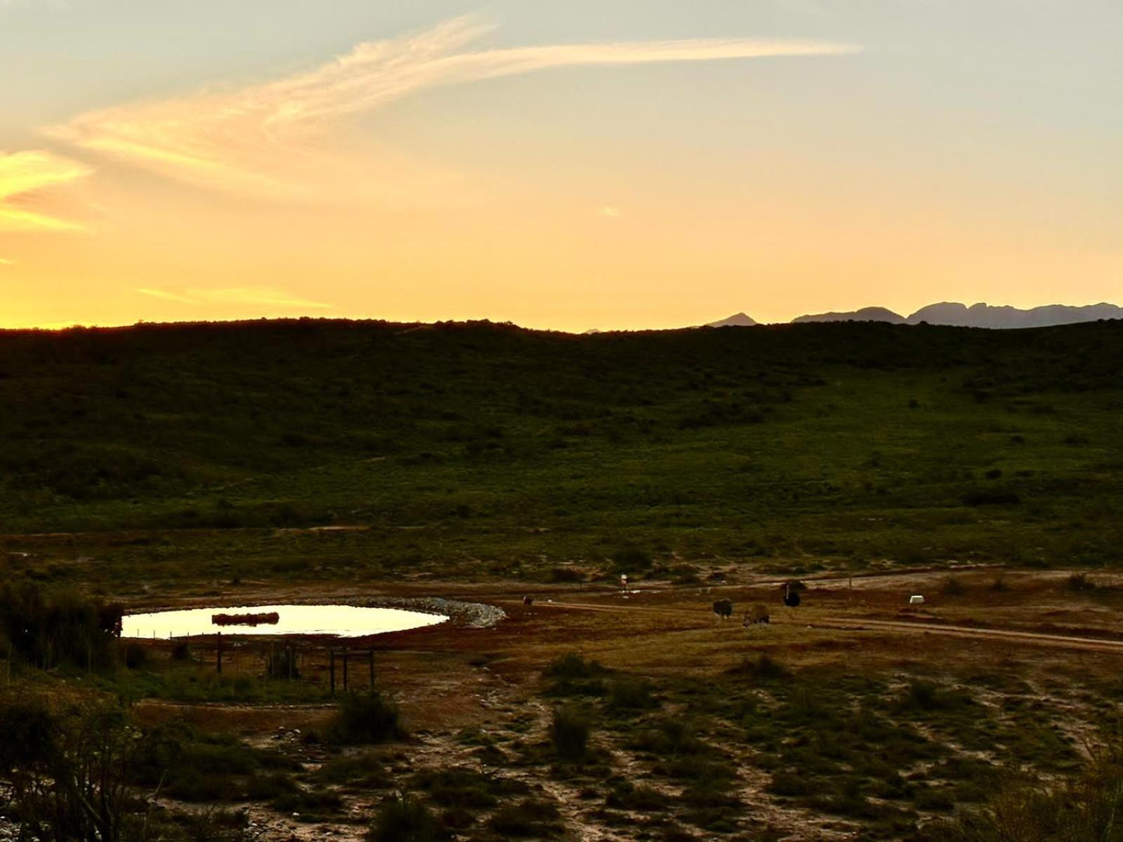 Klein Karoo Game Lodge 44/49