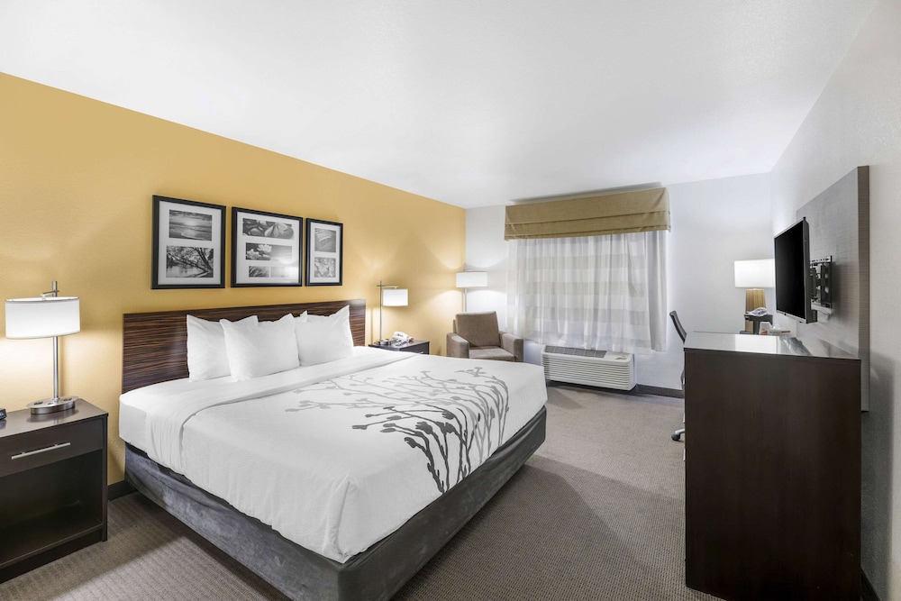 Room, King Bed, Accessible