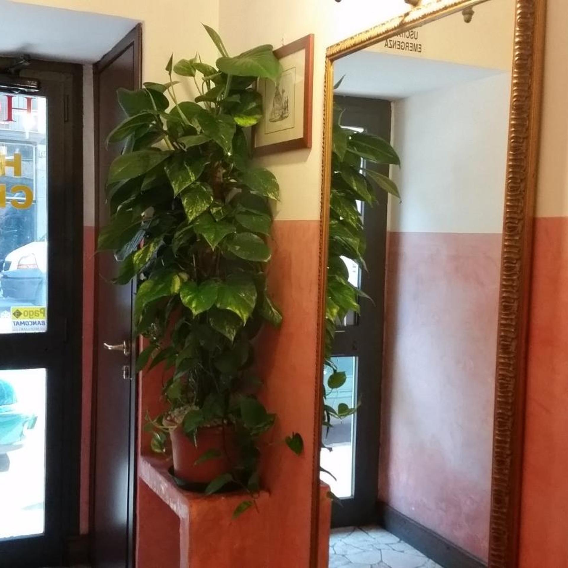 Chopin酒店(Hotel Chopin) 图片1