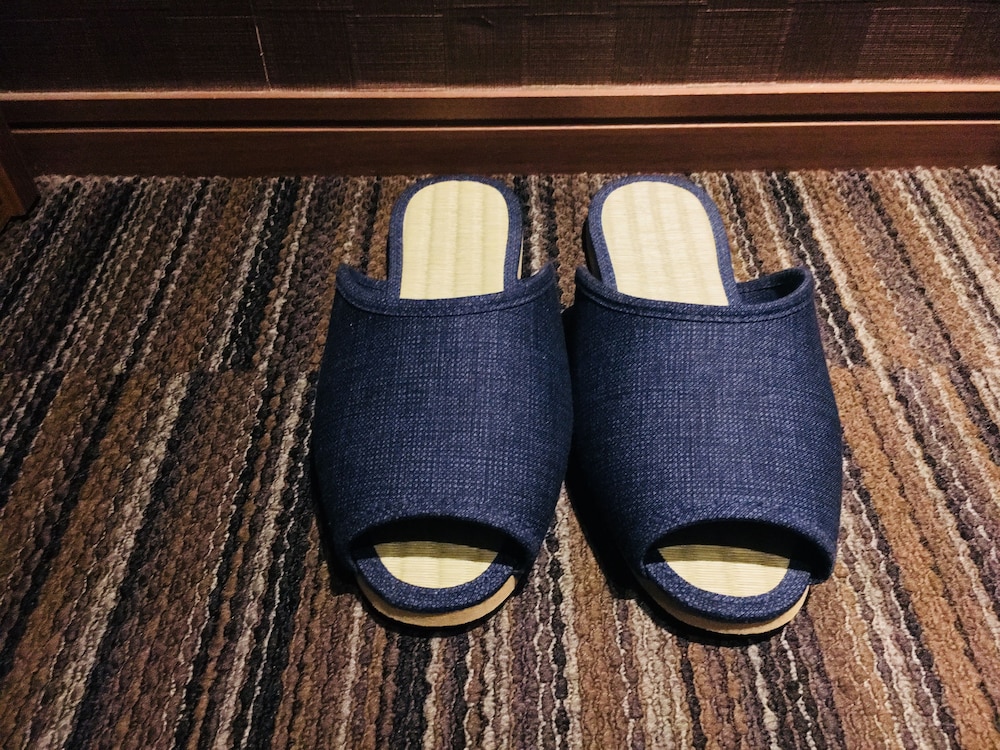 Tokyo Ueno Touganeya Hotel 32/50