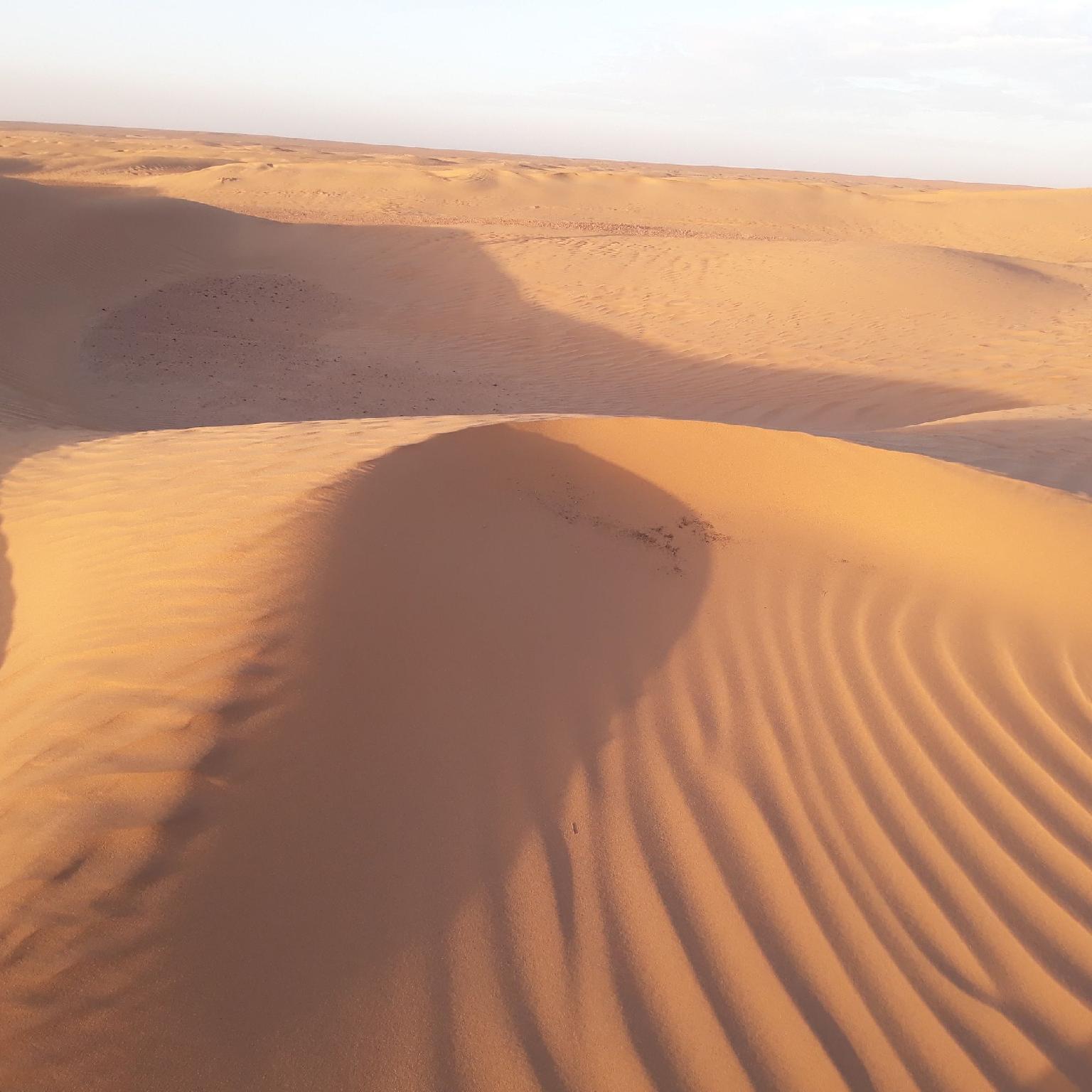 Le Chant Du Sable 40/40