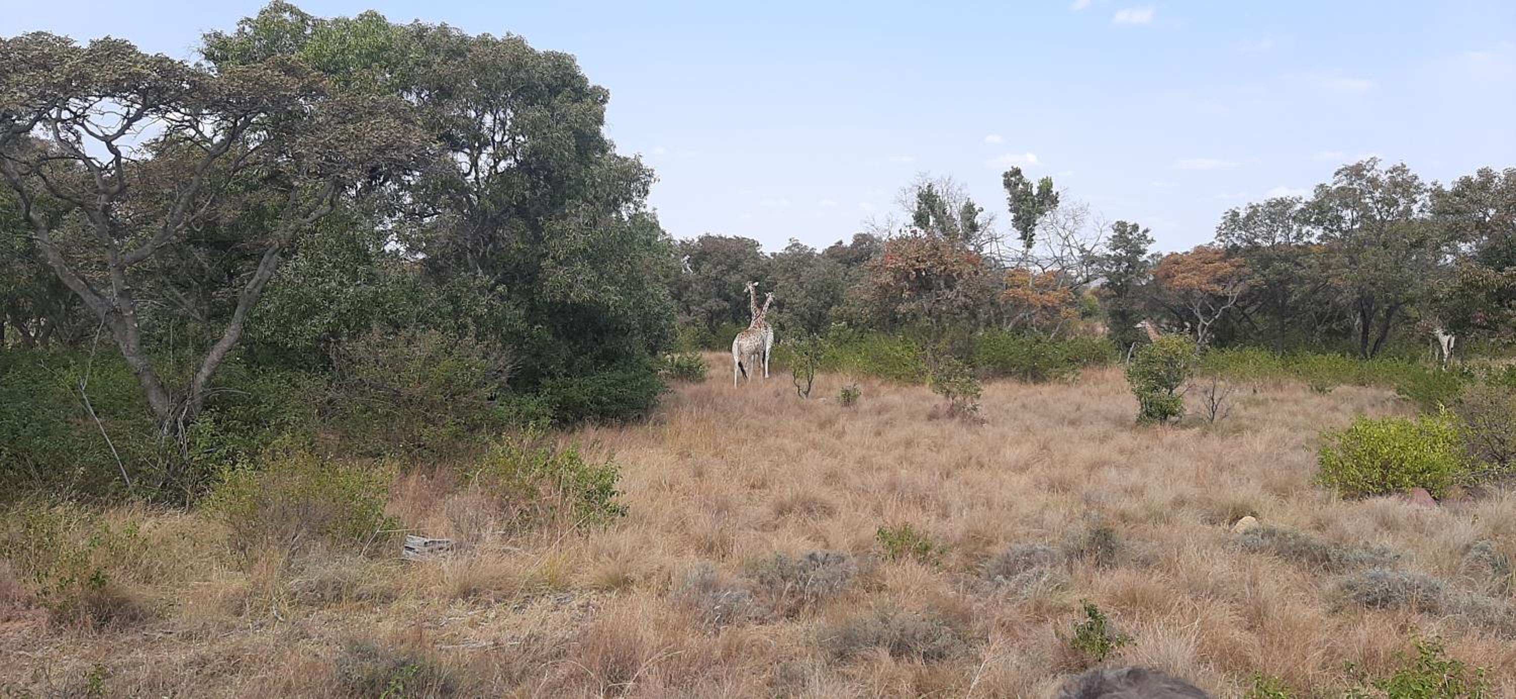 Moletani Game Ranch 34/50