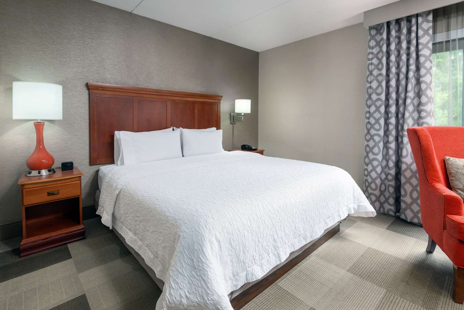 Room, King Bed, Large