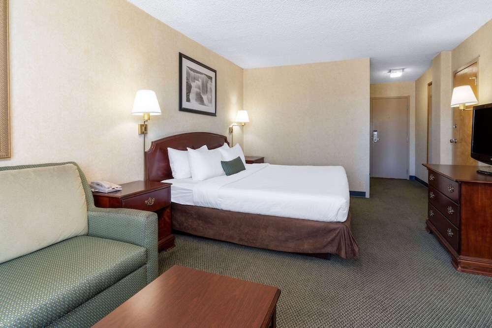 Room, Queen Bed