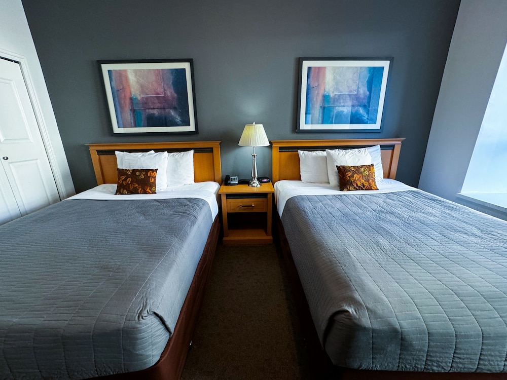 Met Hotel 17/50