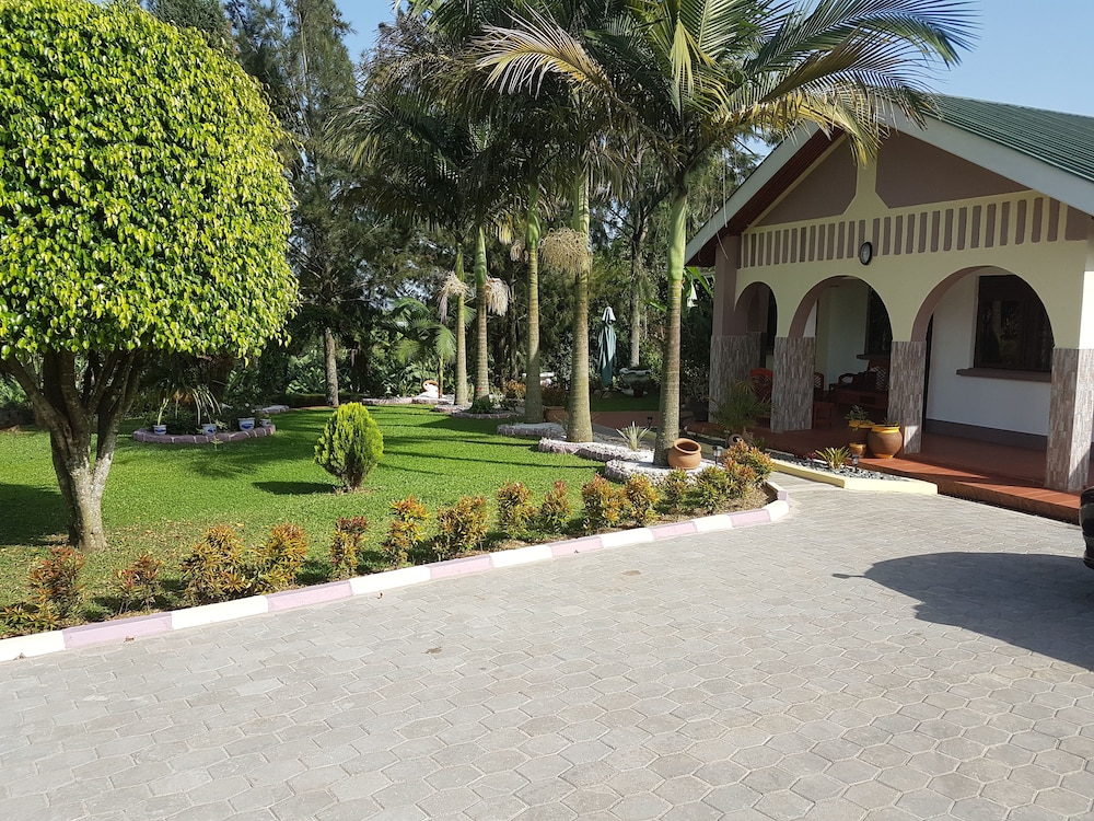 Sheevy's Bed N Breakfast 19/29