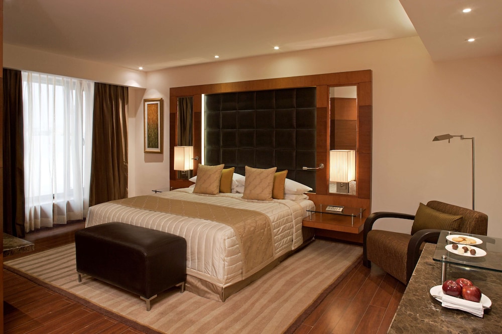 Radisson Blu Plaza Hotel Delhi Airport 13/76