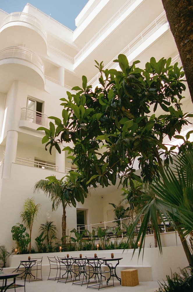 Apollo Palm Hotel 63/66
