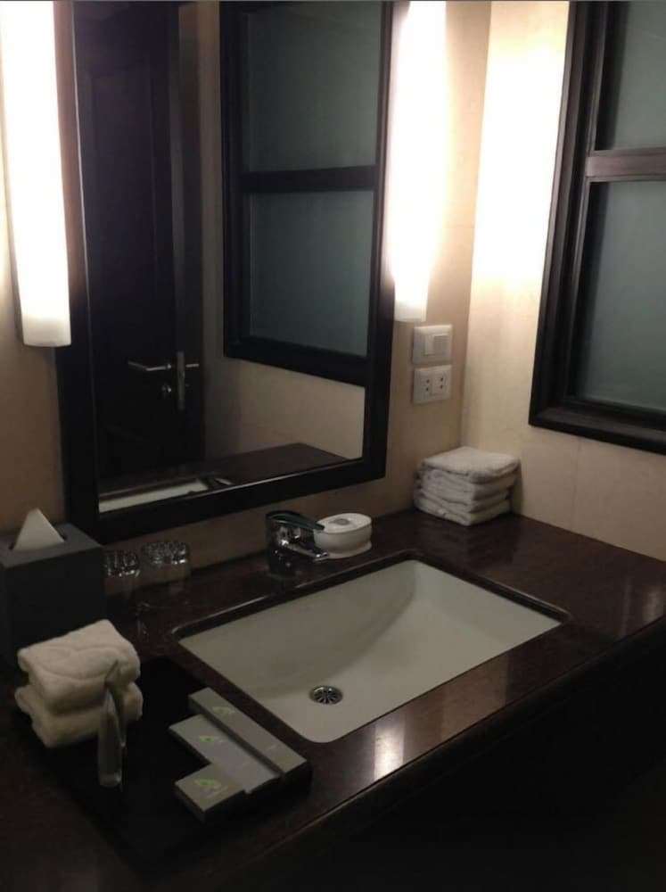 Leisure Inn Grand Chanakya 14/37