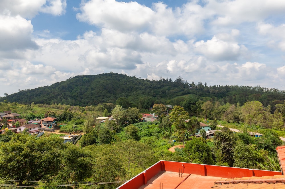 Treebo Vrindavan Coorg 33/37