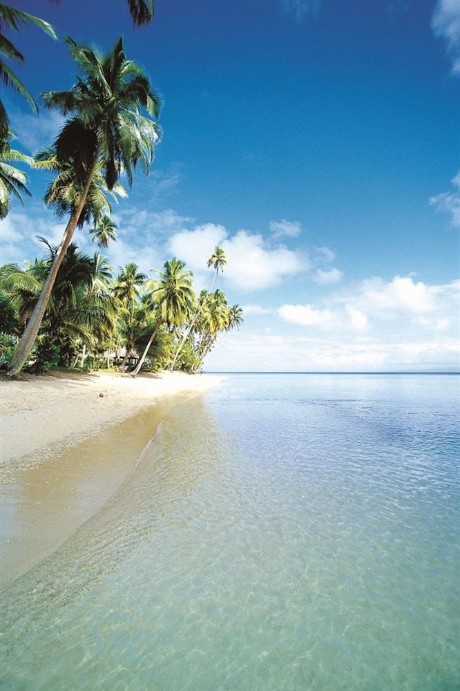 Jean-Michel Cousteau Fiji Islands Resort 31/50