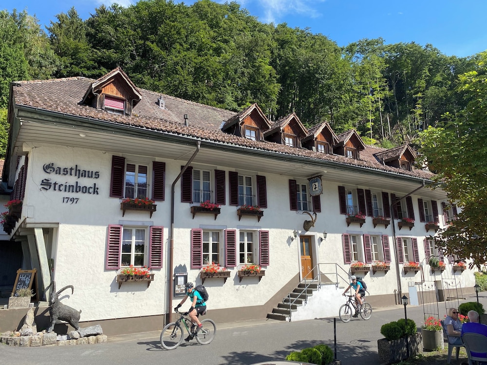 Historic Hotel Steinbock 2/50