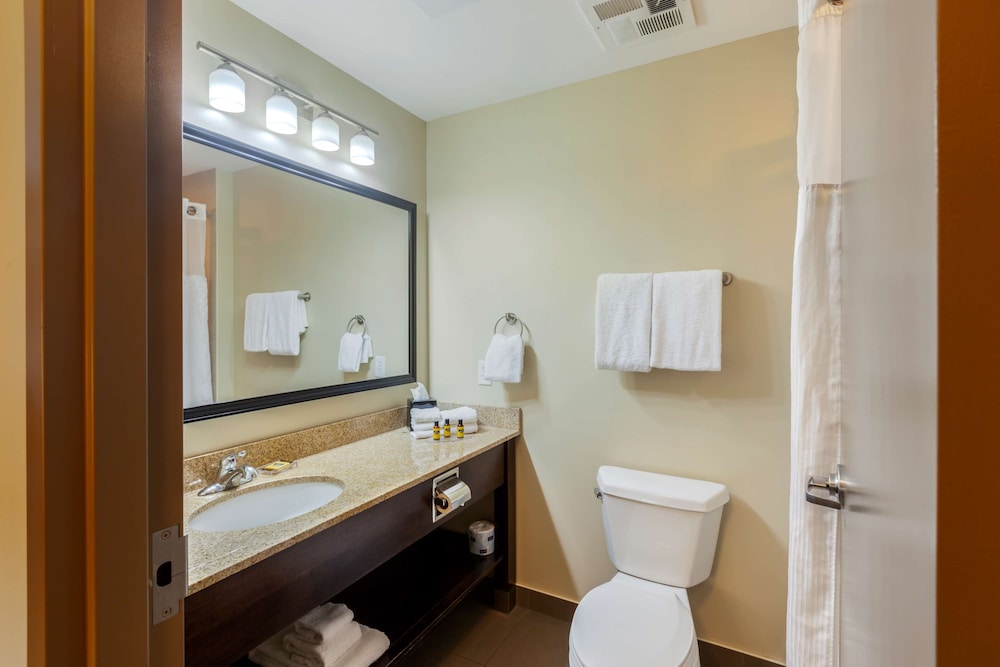 Best Western Plus Walkerton Hotel and Conference Centre 10/43