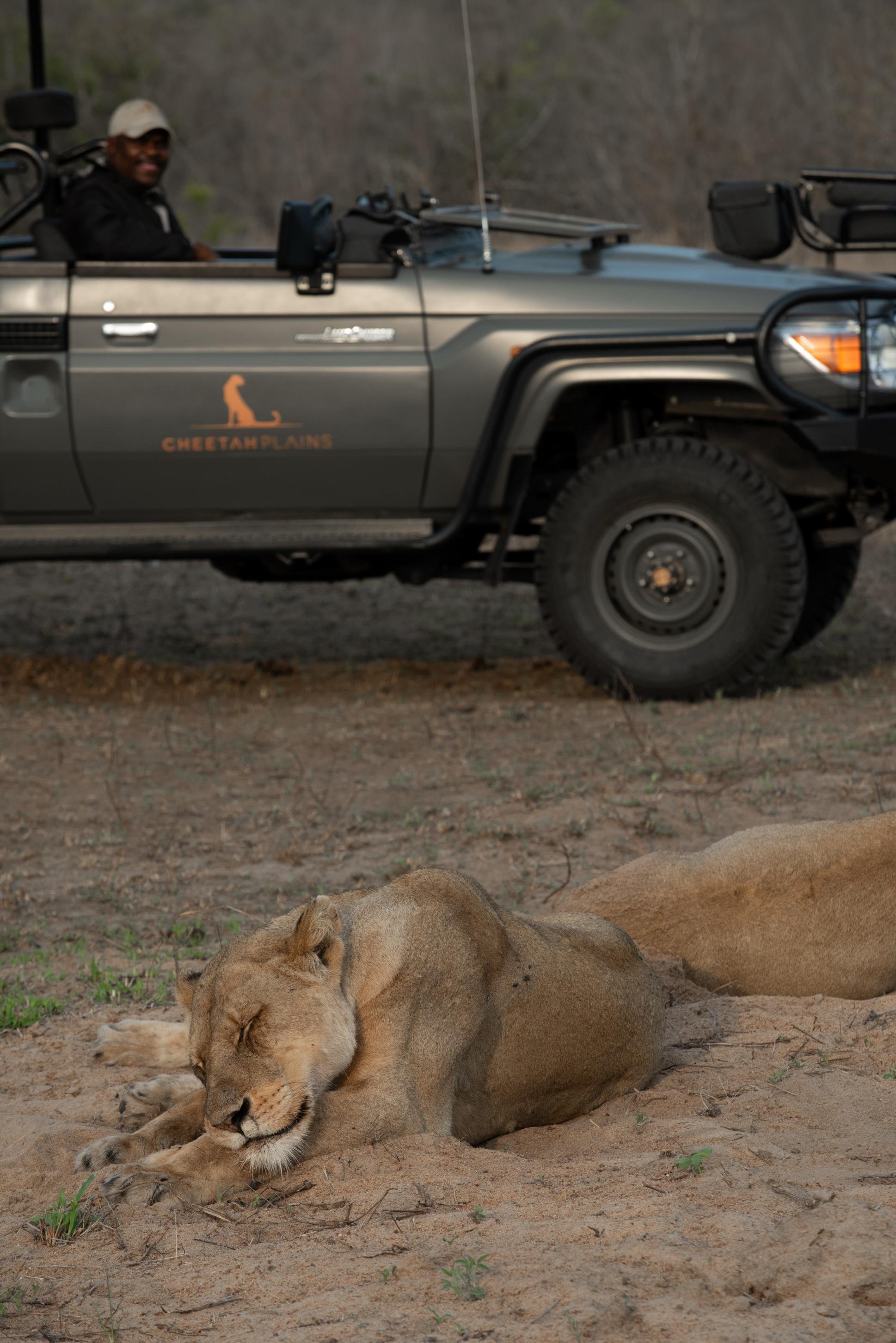 Cheetah Plains Private Game Reserve 68/96