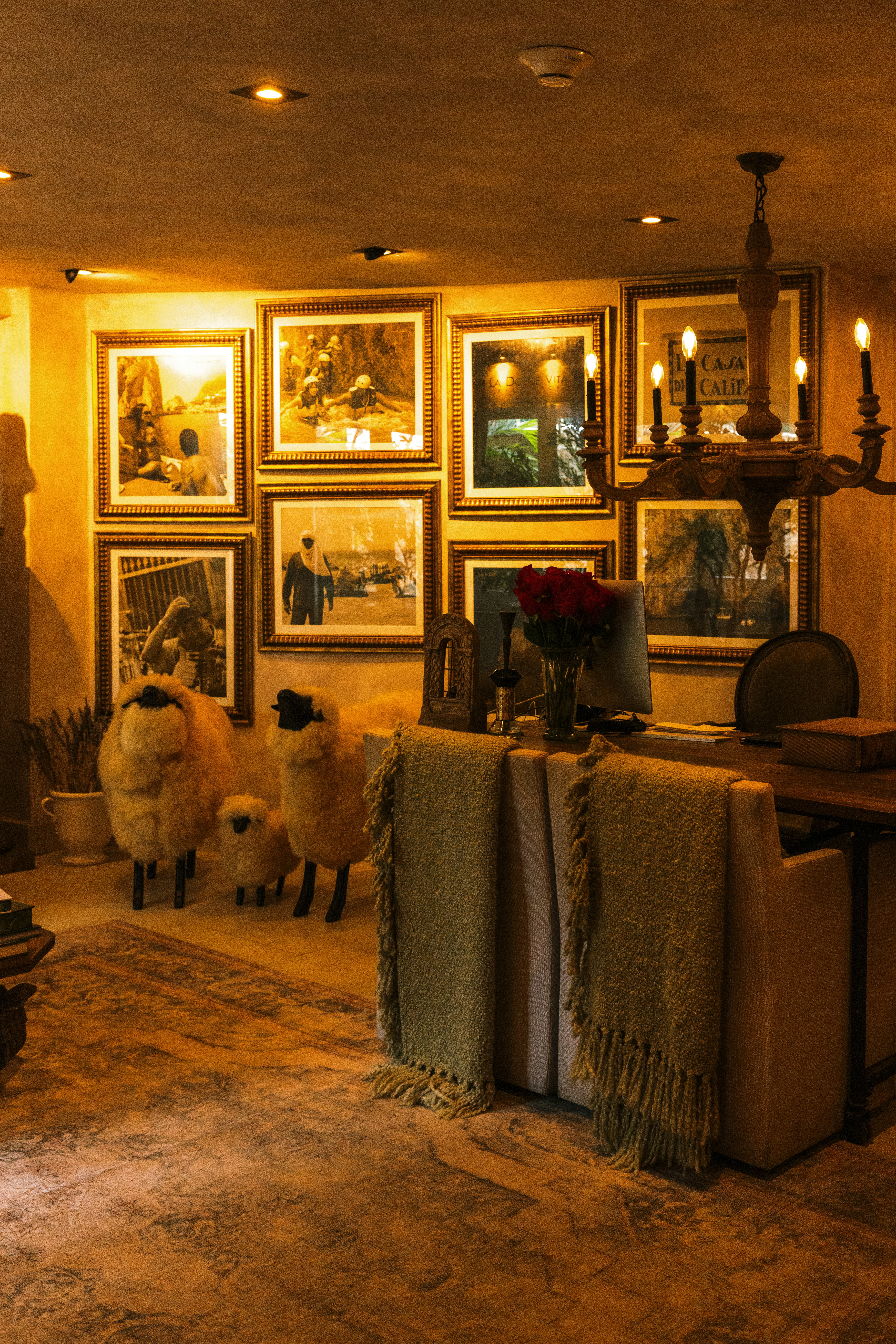 Olive Boutique Hotel 28/46