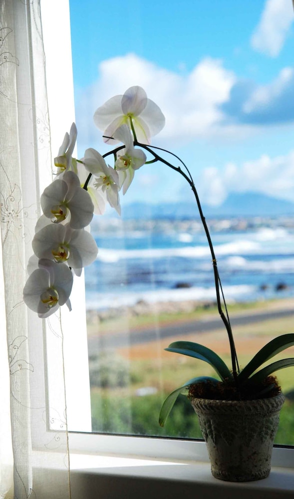 138 Marine Beachfront Guesthouse 42/50