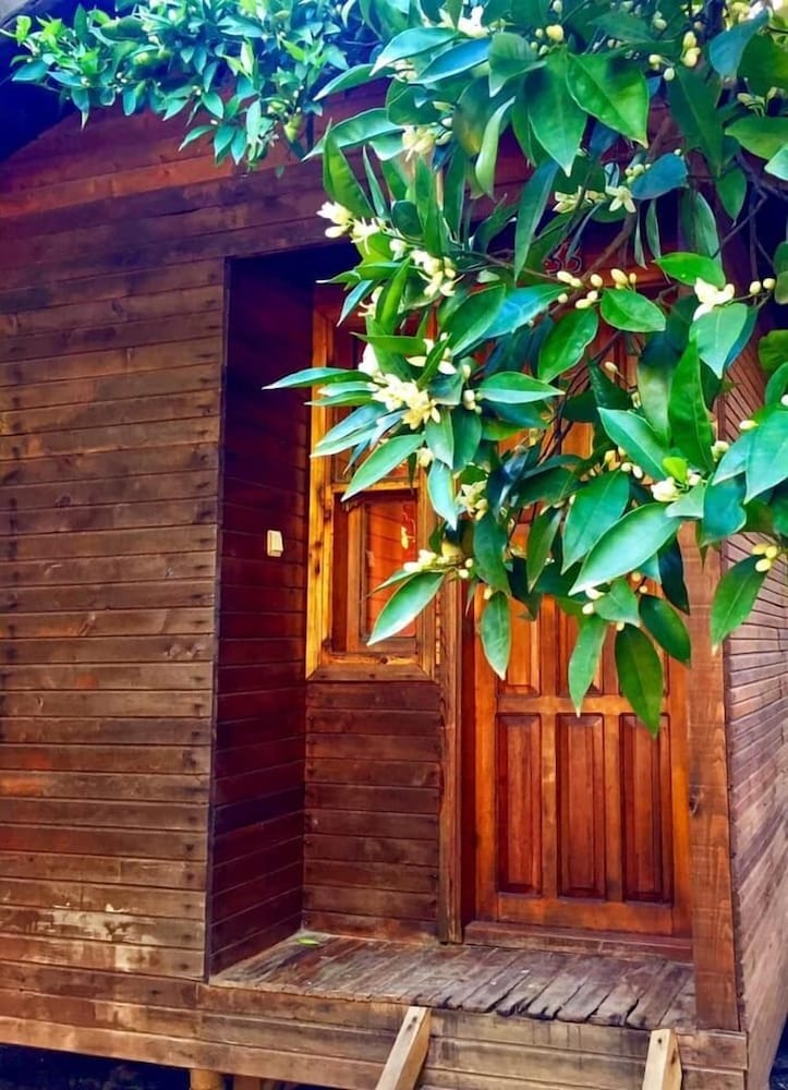 Sheriff Olympos Pension 4/36