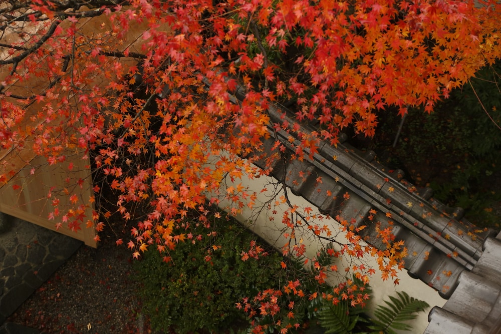 Takeo Onsen Kanko Hotel Kyotoya 46/50