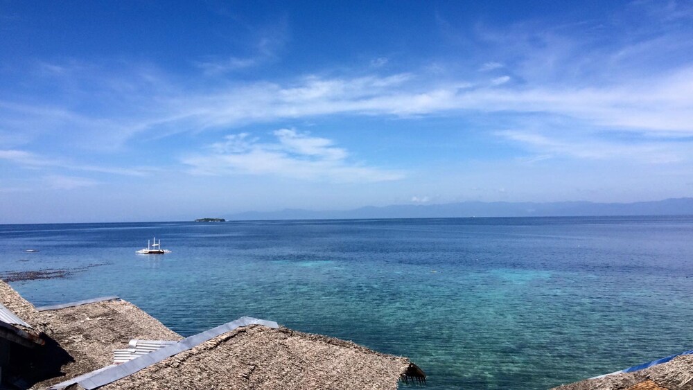 Neptune Diving Resort Moalboal 38/50