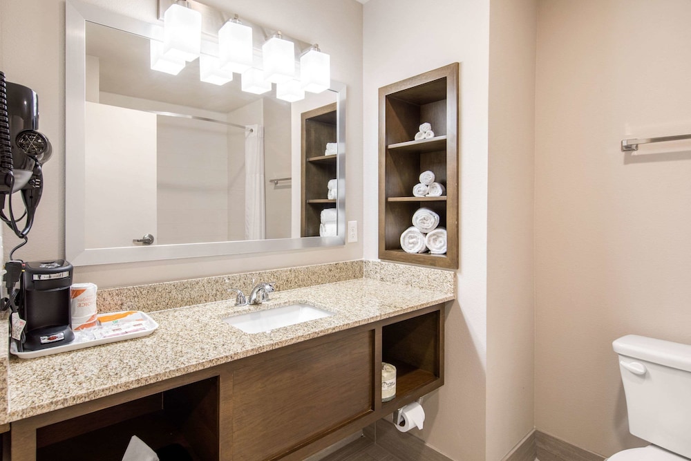 Quality Inn & Suites Carlsbad Caverns Area 39/44