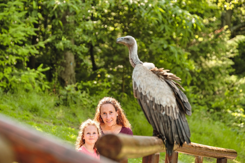 Natur-Resort Tripsdrill 40/50